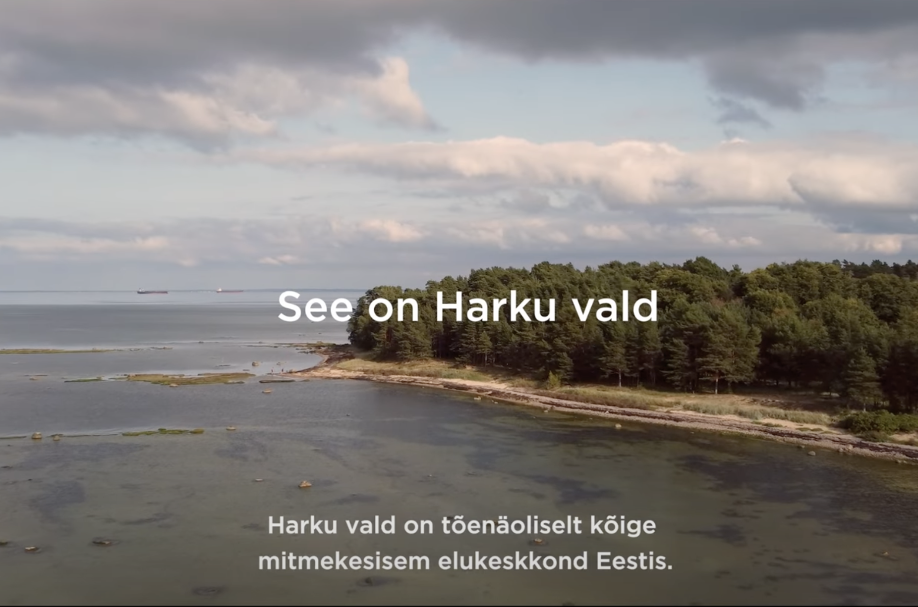 Harku valla promovideo