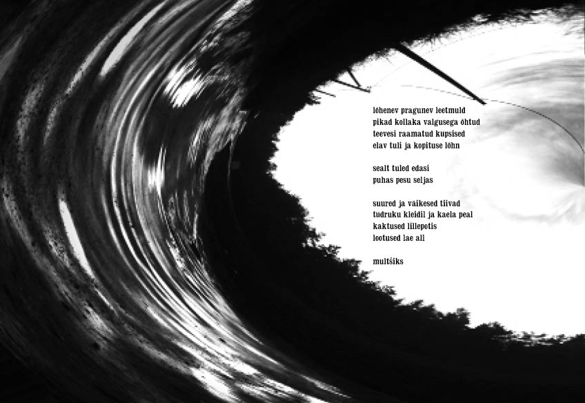 Lauri Leet: Kampeseur – 2