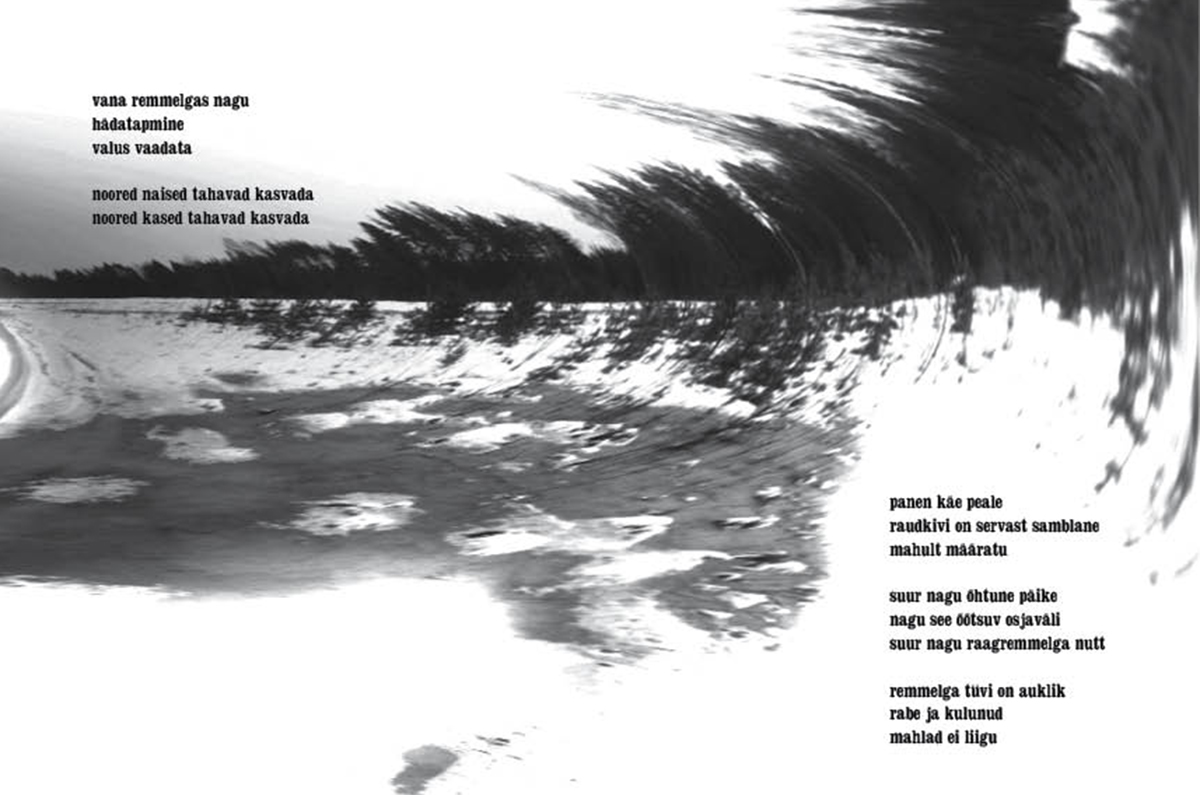 Lauri Leet: Kampeseur – 3