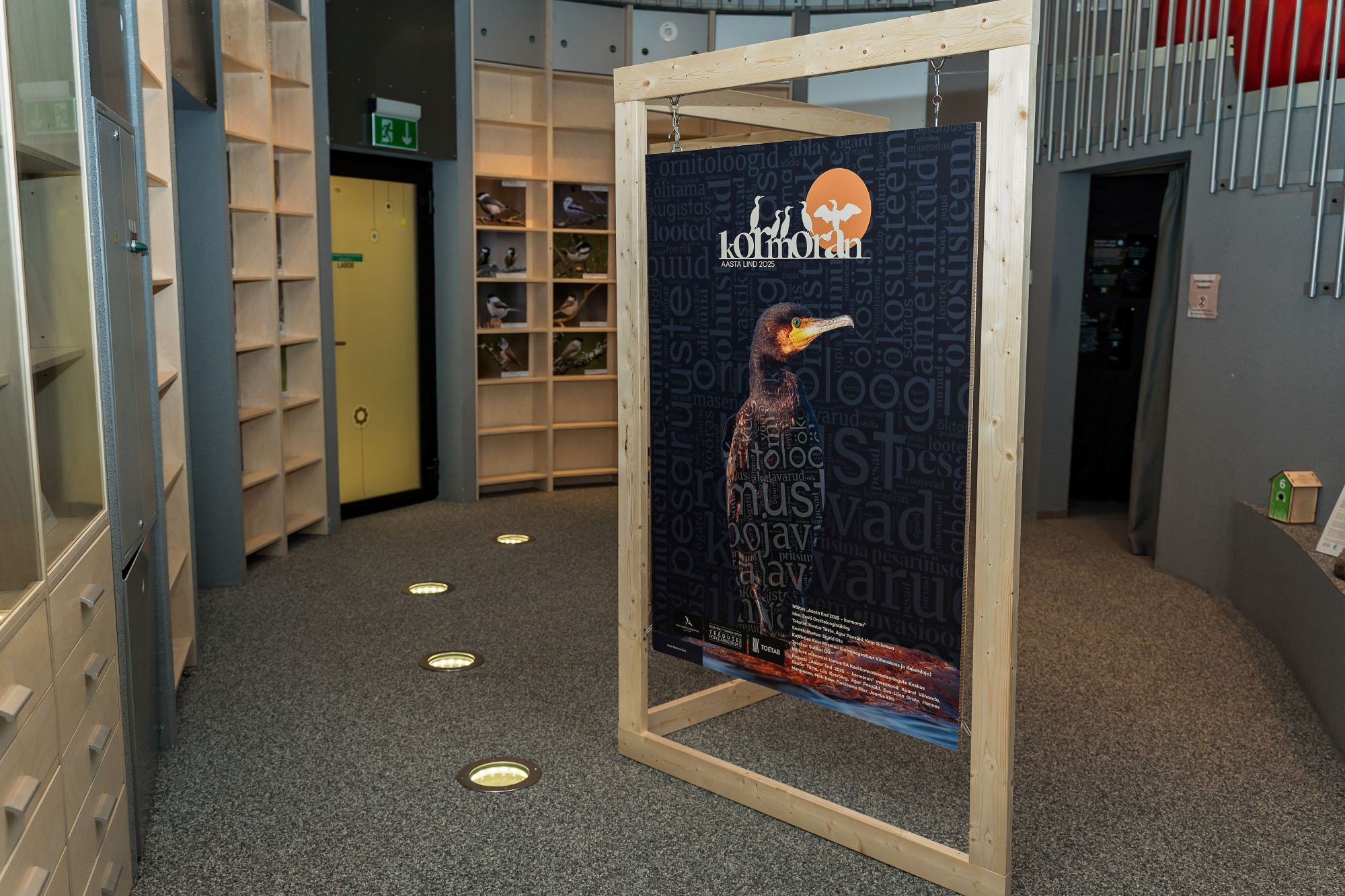 Eesti Ornitoloogiaühingu rändnäitus Kormoran — aasta lind 2025 – 1
