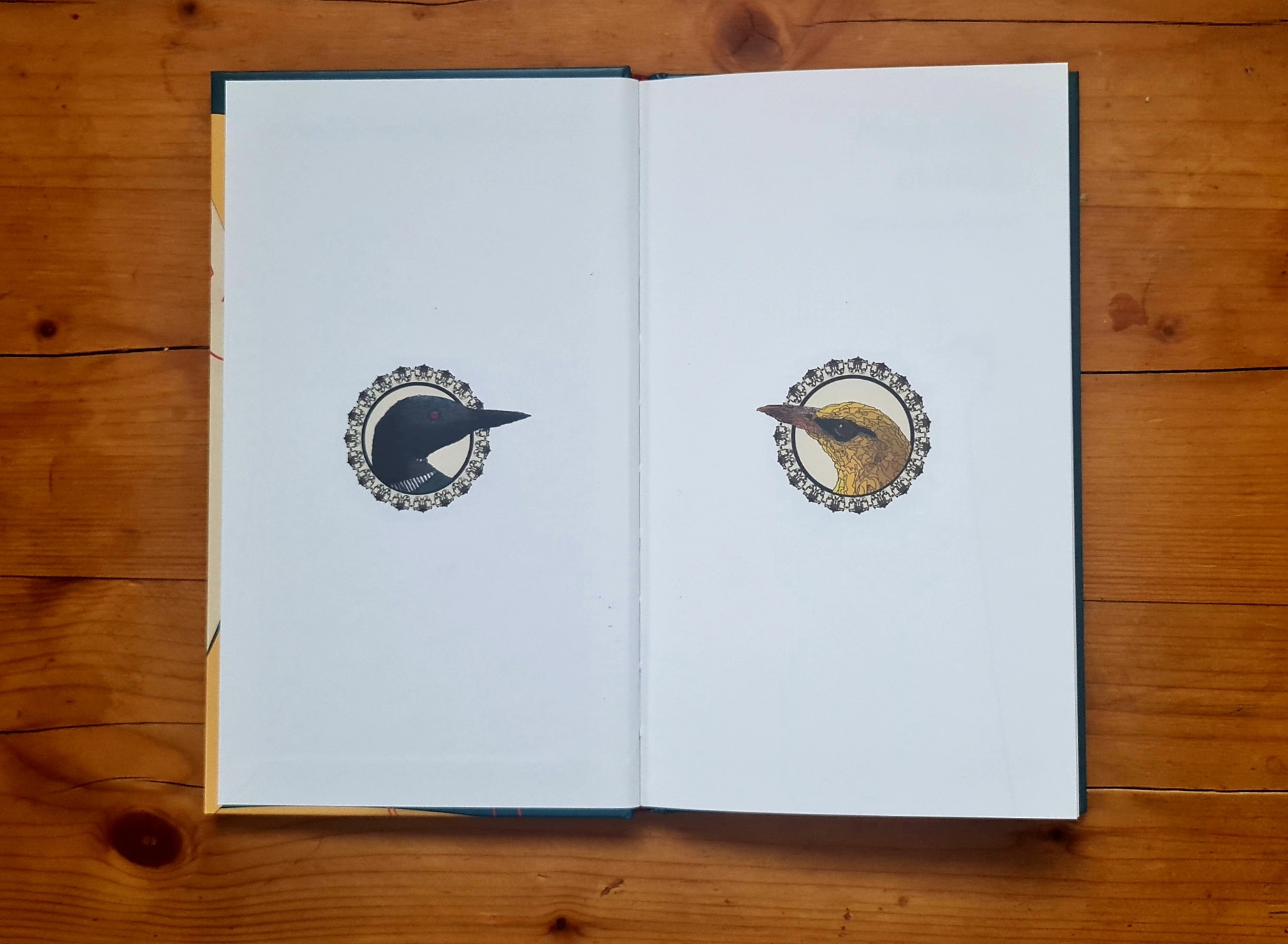 Maarja-Liis Mölder: Miks teisi ei lööda – 3